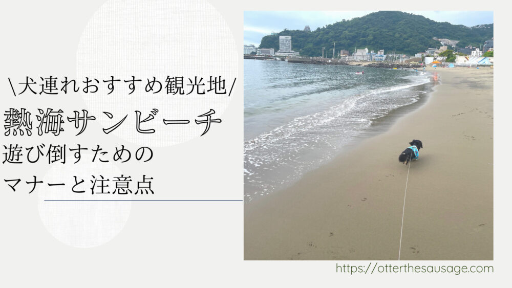 Blog Banner ブログ記事バナー 【熱海】犬連れおすすめ観光地：熱海サンビーチを遊び倒す時のマナーと注意点